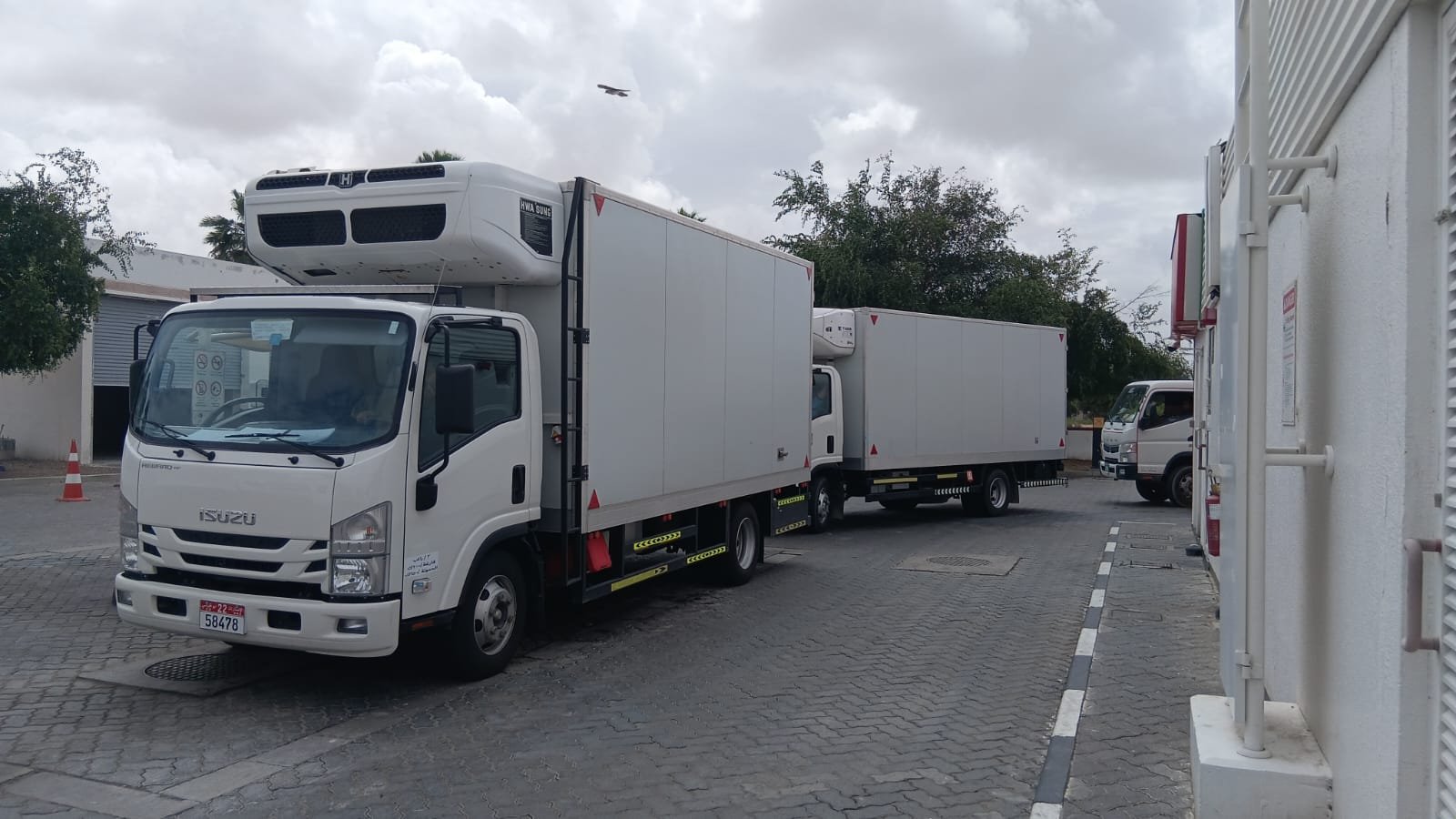 Refrigerated truck rental Dubai – Arctic Flow Transport fleet vehicle
